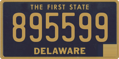 DE license plate 895599