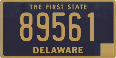 DE license plate 89561