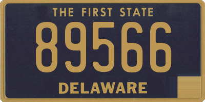 DE license plate 89566