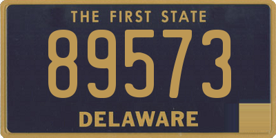 DE license plate 89573