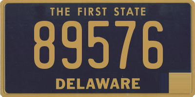 DE license plate 89576