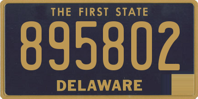 DE license plate 895802