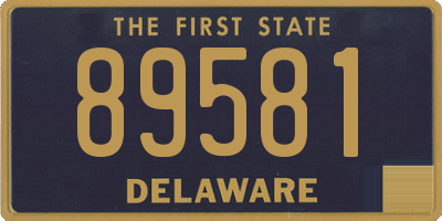 DE license plate 89581