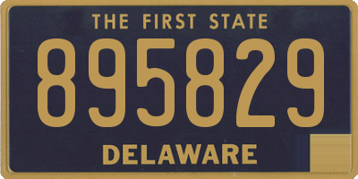 DE license plate 895829