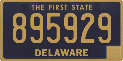DE license plate 895929