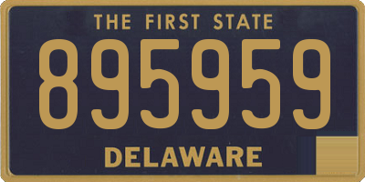 DE license plate 895959