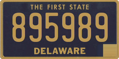 DE license plate 895989