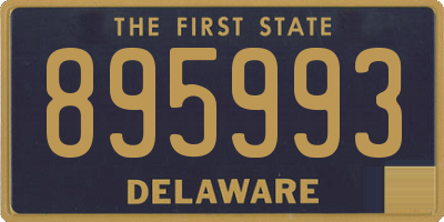 DE license plate 895993