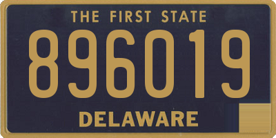 DE license plate 896019