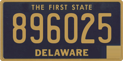 DE license plate 896025