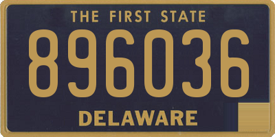 DE license plate 896036