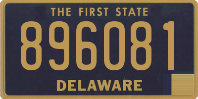 DE license plate 896081