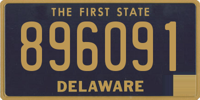 DE license plate 896091