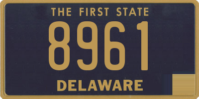 DE license plate 8961