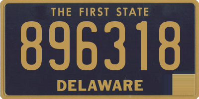 DE license plate 896318