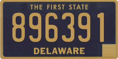 DE license plate 896391