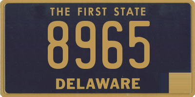 DE license plate 8965