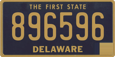 DE license plate 896596