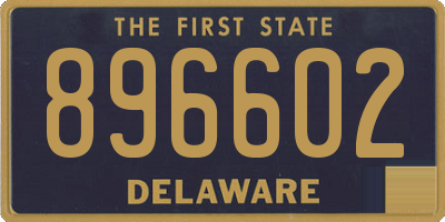 DE license plate 896602
