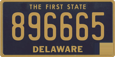 DE license plate 896665