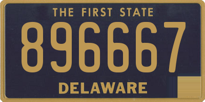 DE license plate 896667