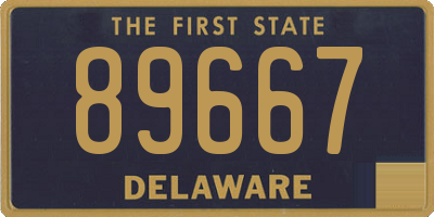 DE license plate 89667