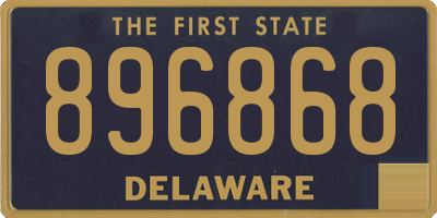 DE license plate 896868