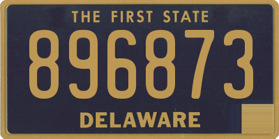 DE license plate 896873