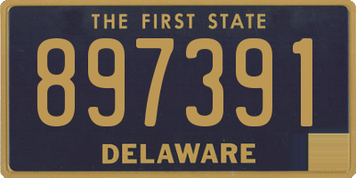 DE license plate 897391