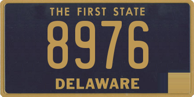 DE license plate 8976