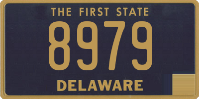 DE license plate 8979