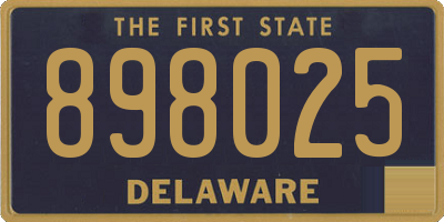 DE license plate 898025
