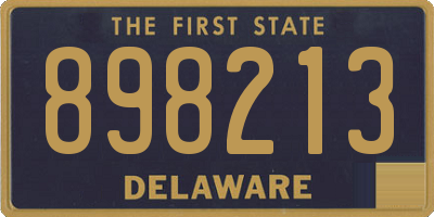 DE license plate 898213