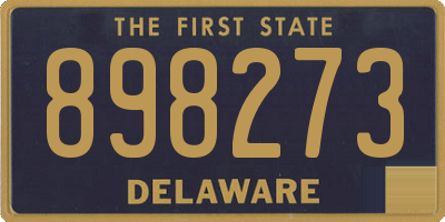 DE license plate 898273