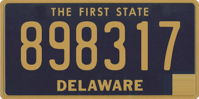 DE license plate 898317