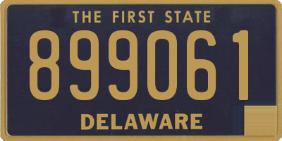 DE license plate 899061
