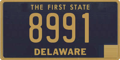 DE license plate 8991