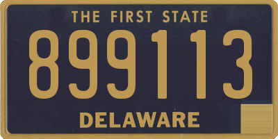 DE license plate 899113