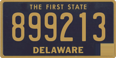 DE license plate 899213