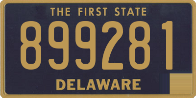 DE license plate 899281
