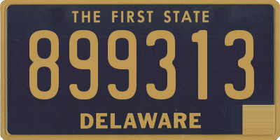 DE license plate 899313