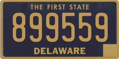 DE license plate 899559