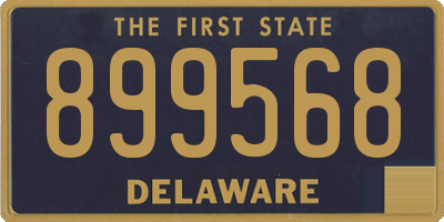 DE license plate 899568