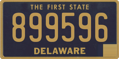 DE license plate 899596