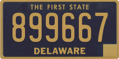 DE license plate 899667