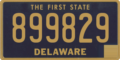 DE license plate 899829