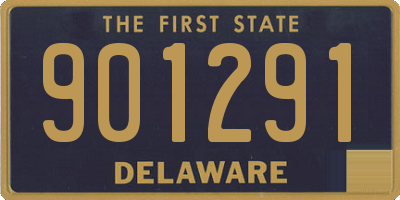 DE license plate 901291