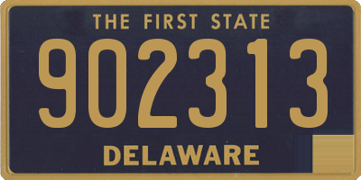 DE license plate 902313