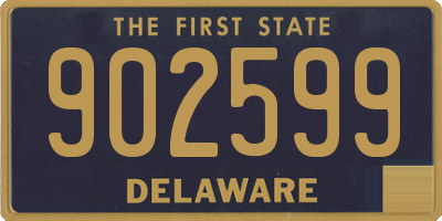 DE license plate 902599
