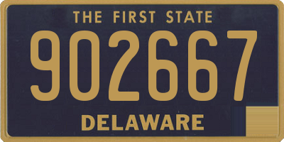 DE license plate 902667